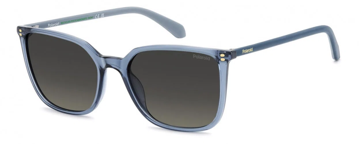Polaroid Core PLD4209 Sunglasses